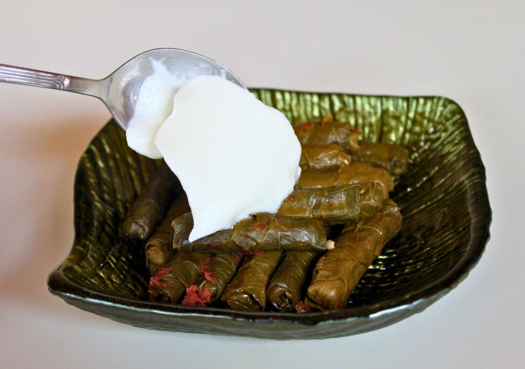 dolmadakia-yogurt greco-cucina greca-ristorante greco milano-vero sapore greco
