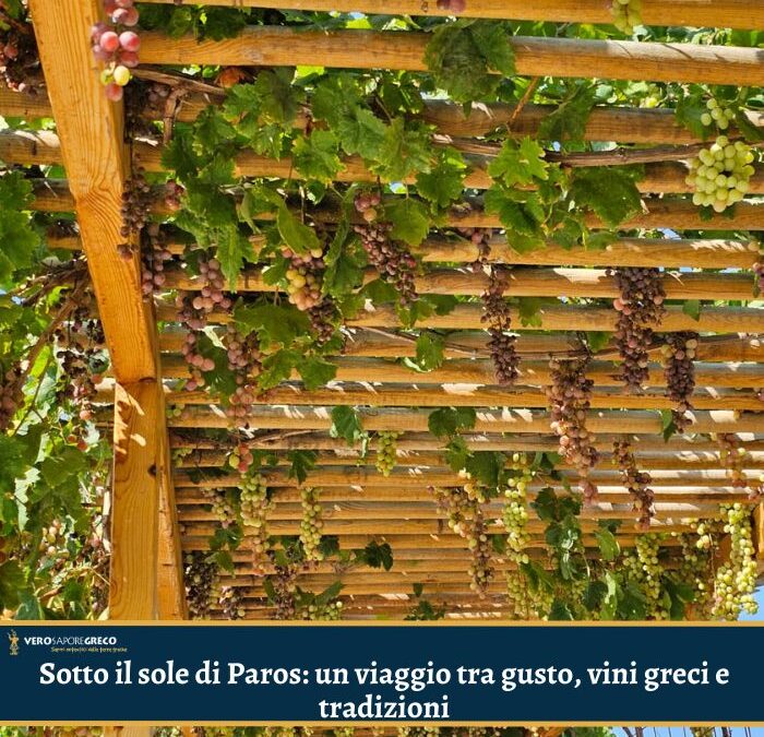 Sotto il sole di Paros: un viaggio tra gusto, vini greci e tradizioni