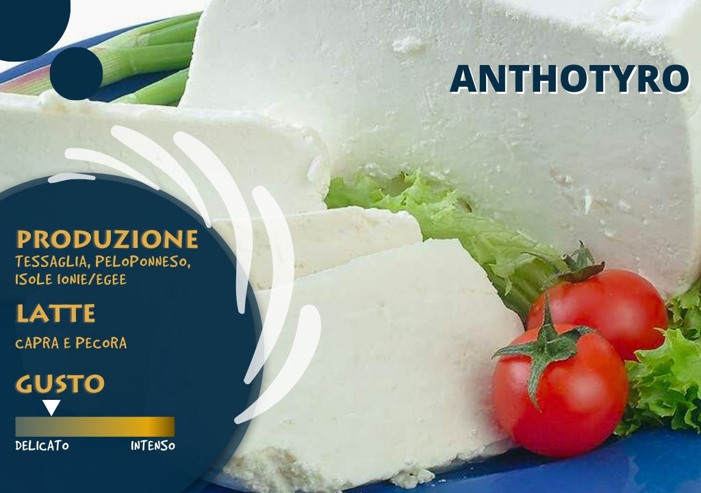 anthotyro-tipico formaggio greco-greek cheese-ristorante greco milano-milano-ristorante greco duomo