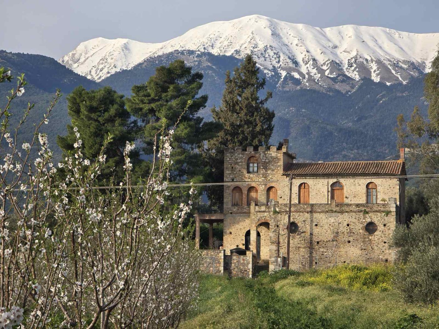 La tenuta di famiglia Salvara ai piedi del Taigeto, Sparta